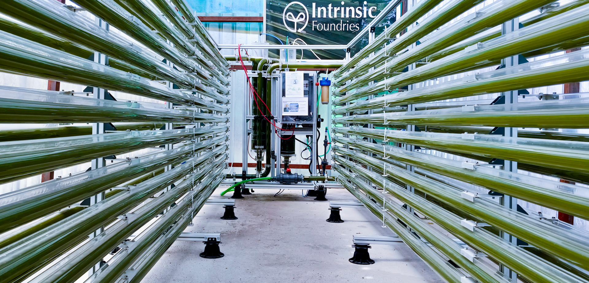 Tubular Photobioreactor System